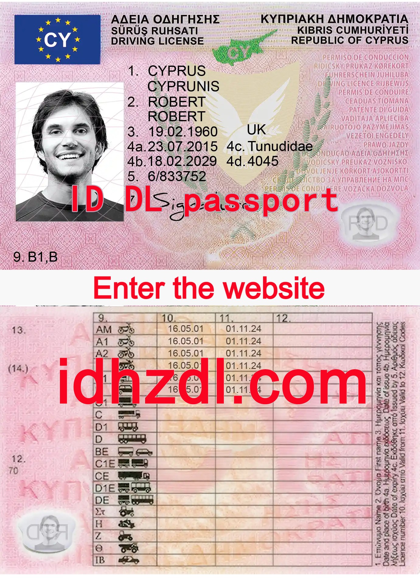 How-to-get-a-Cyprus-drivers-license