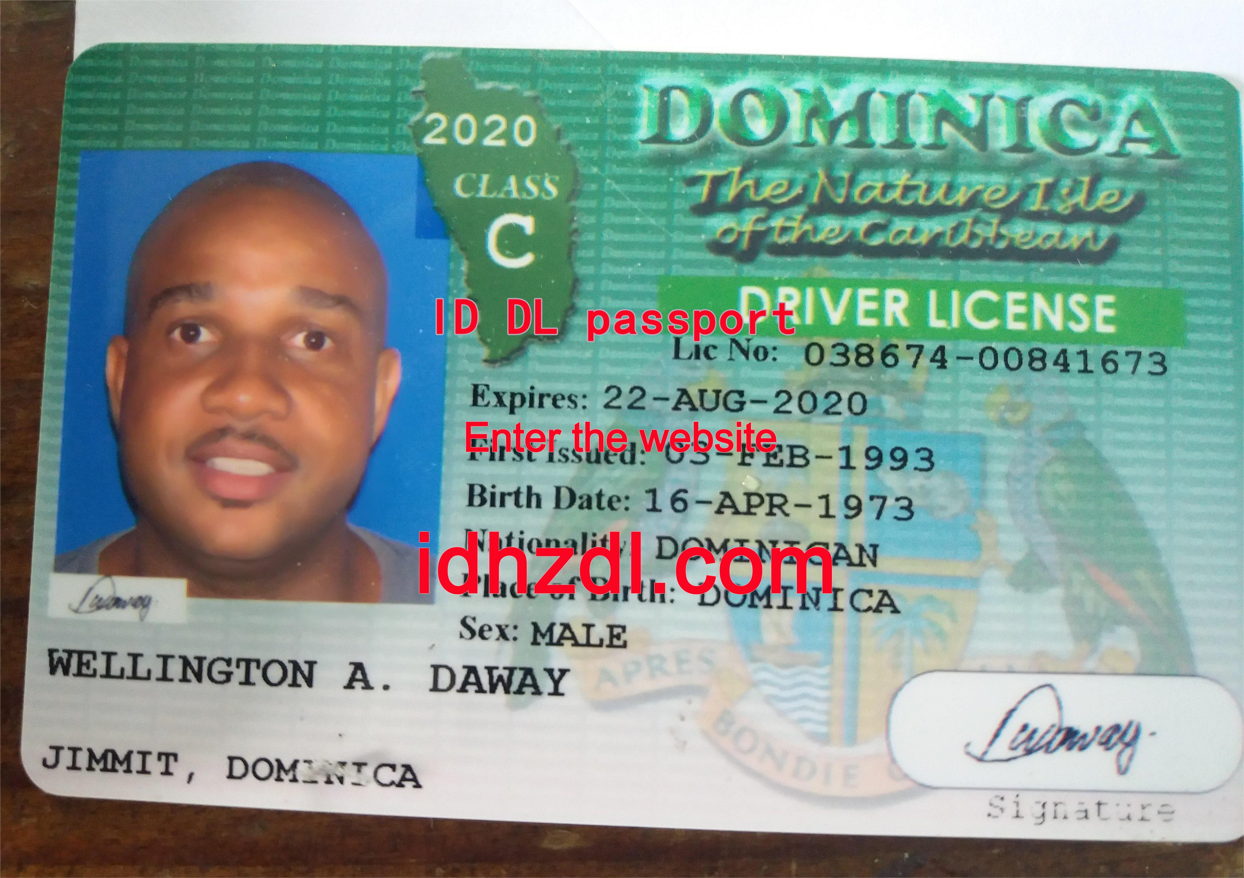 How-to-get-a-Dominican-drivers-license